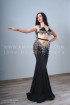 Professional bellydance costume (classic 165a)